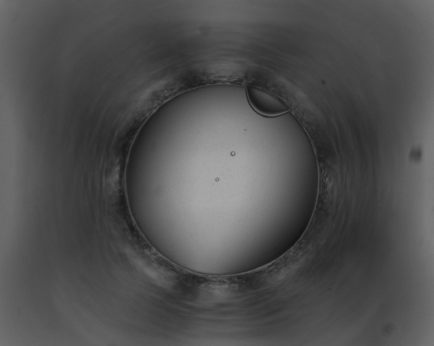 X0000093570745200710221443
