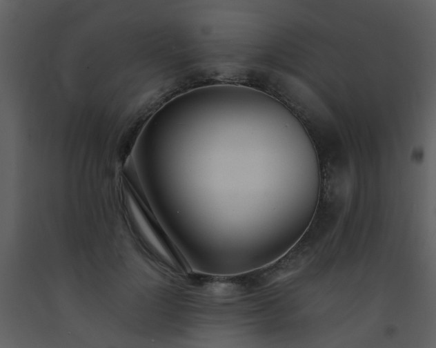 X0000093570748200710221443