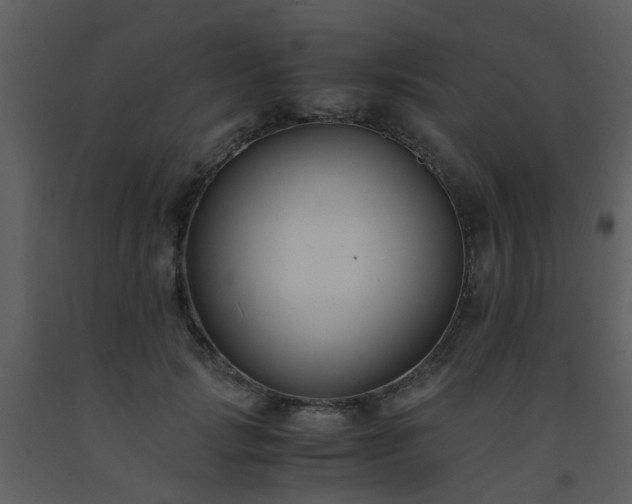 X0000093570749200710221443