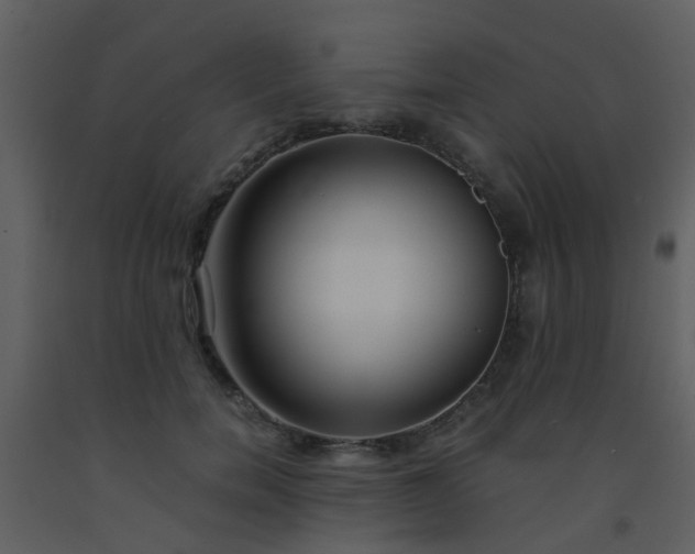 X0000093570750200710221443