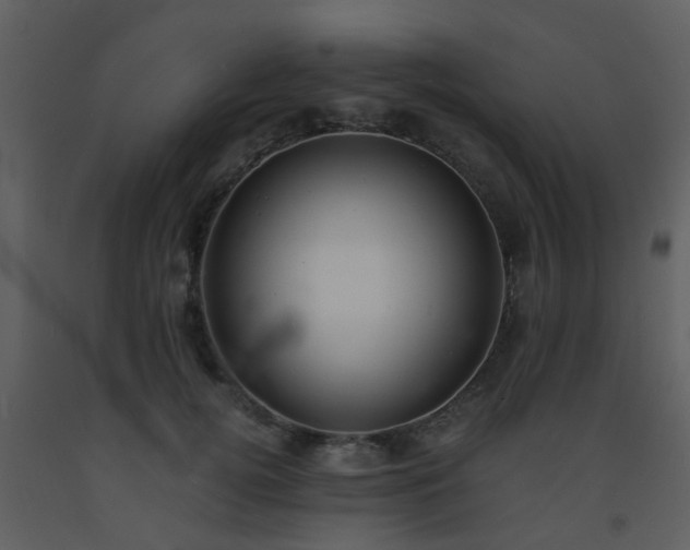 X0000093570752200710221443