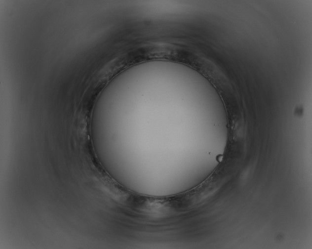 X0000093570753200710221443