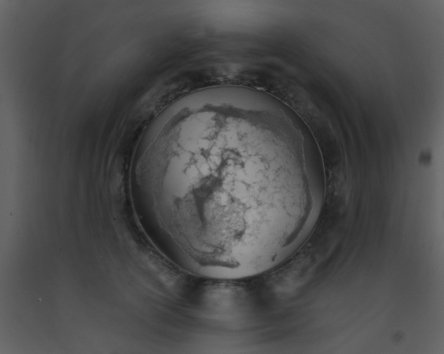 X0000093570754200710221443