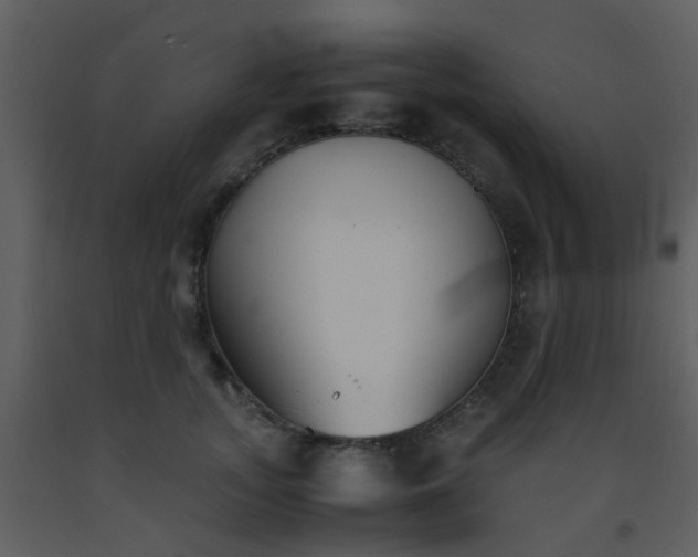X0000093570755200710221443