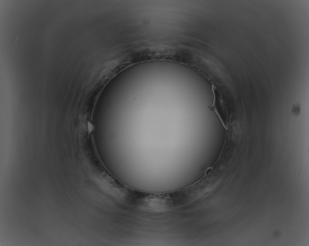 X0000093570756200710221443