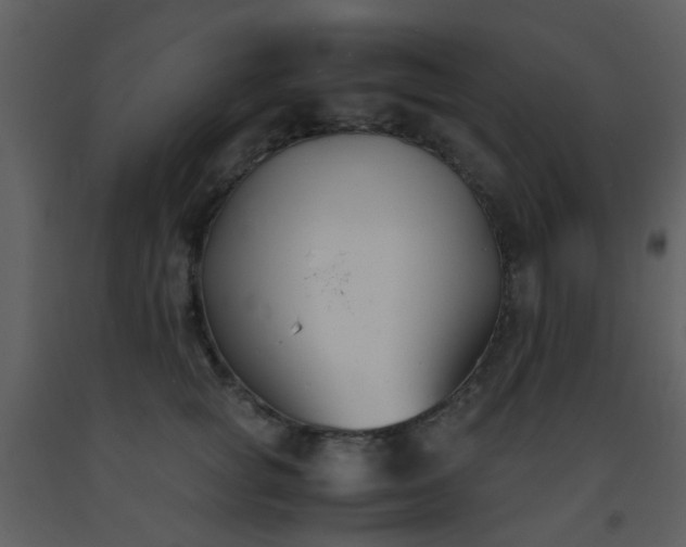 X0000093570757200710221443