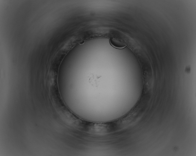 X0000093570758200710221443