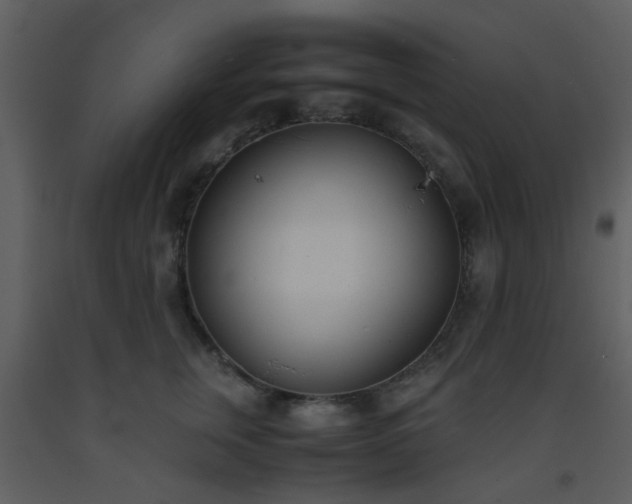 X0000093570759200710221443