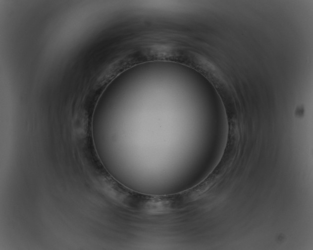 X0000093570760200710221443