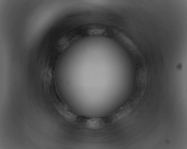X0000093570761200710221443