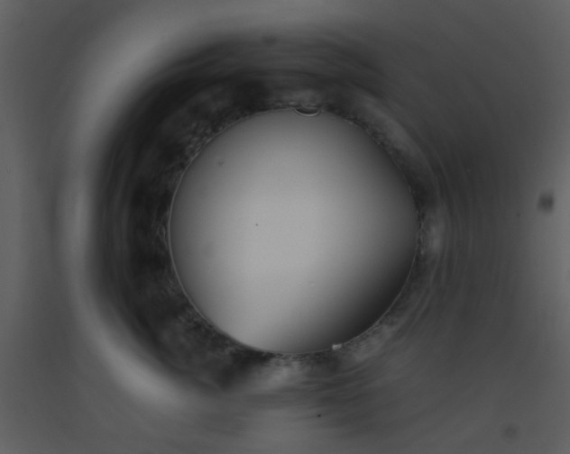 X0000093570764200710221443