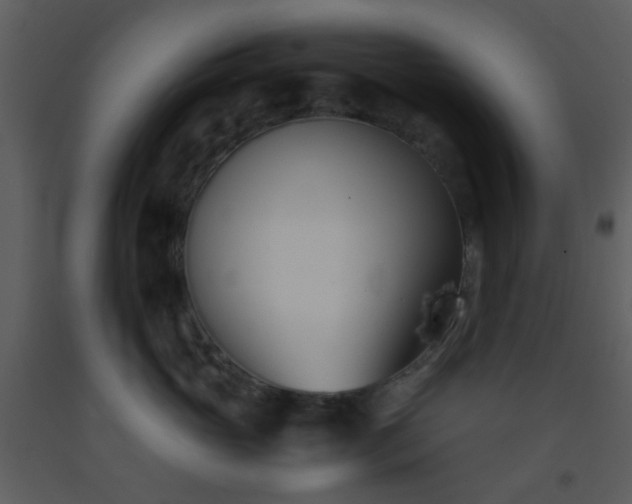 X0000093570765200710221443