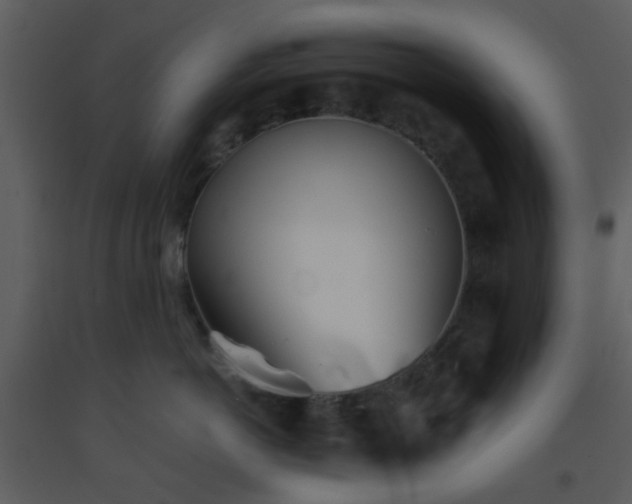 X0000093570766200710221443