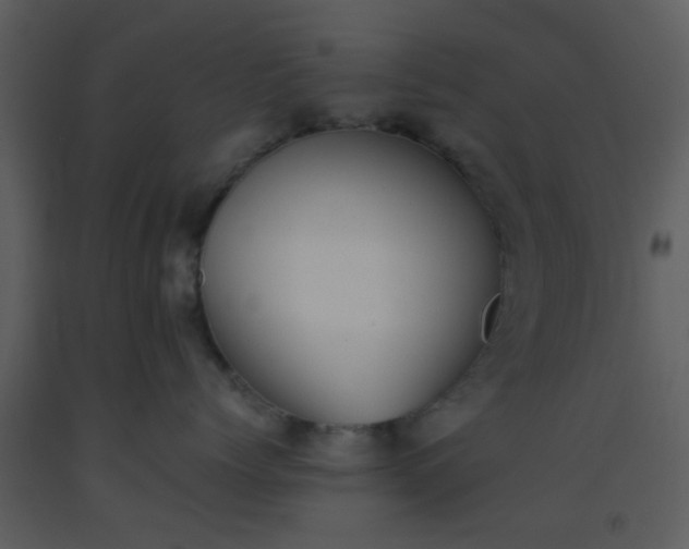 X0000093570768200710221443