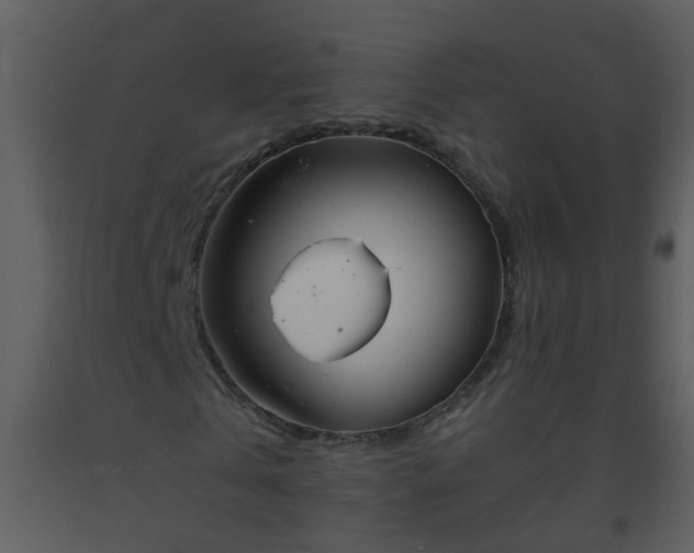 X0000093570769200710221443