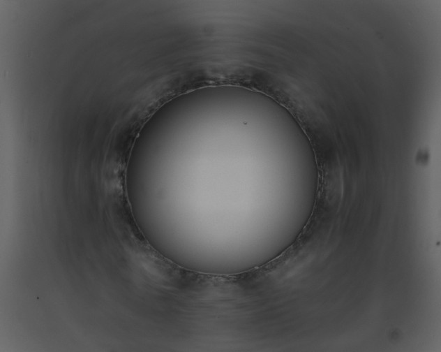 X0000093570770200710221443