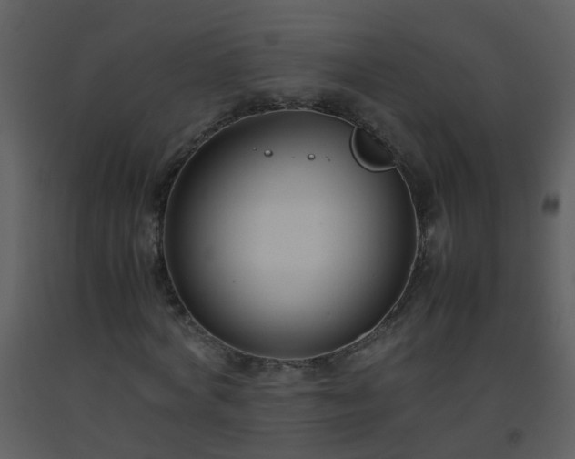 X0000093570772200710221443