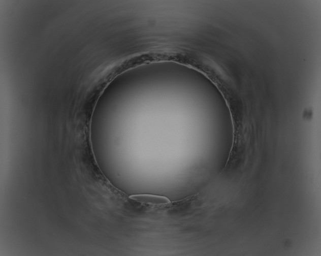 X0000093570773200710221443