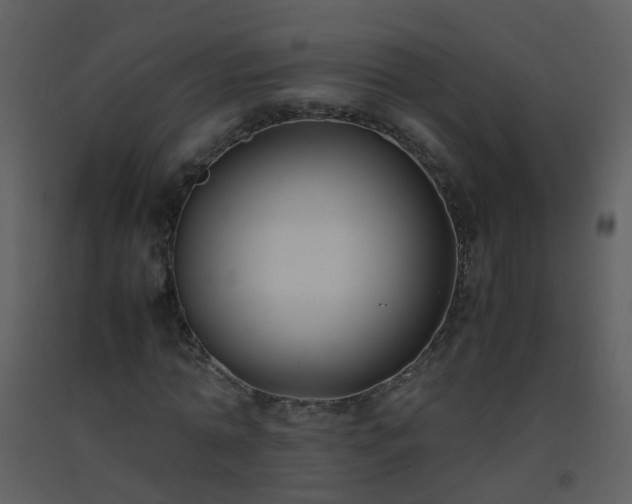 X0000093570774200710221443