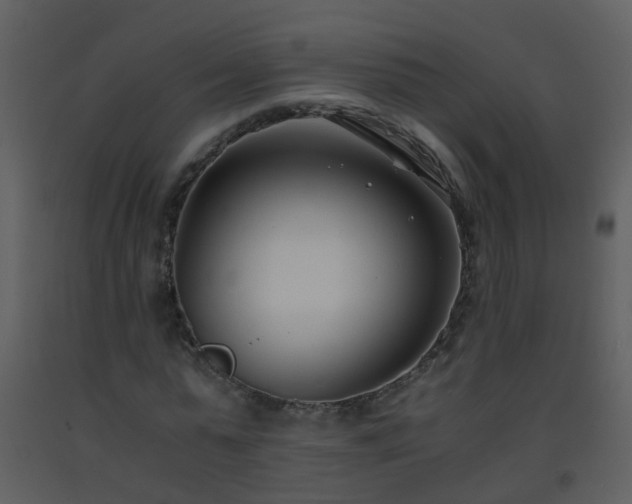 X0000093570775200710221443