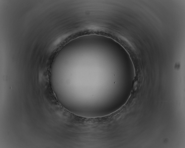 X0000093570776200710221442