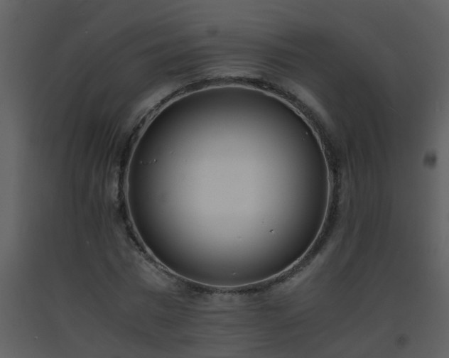 X0000093570777200710221442