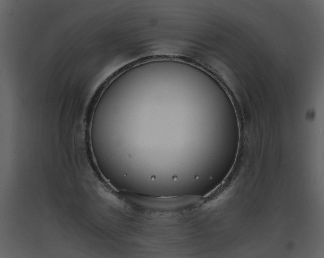 X0000093570779200710221442