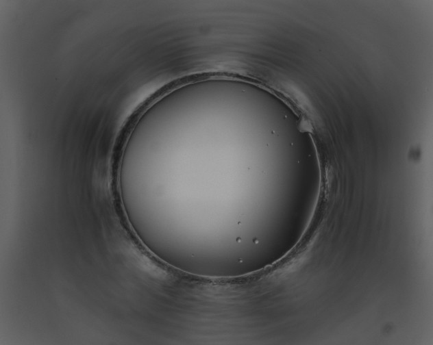 X0000093570780200710221442