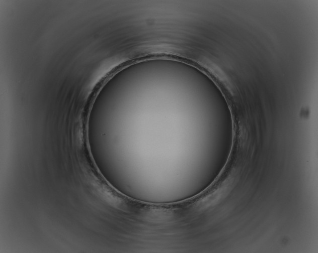 X0000093570782200710221442