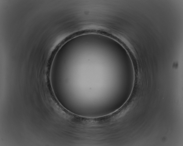 X0000093570783200710221442