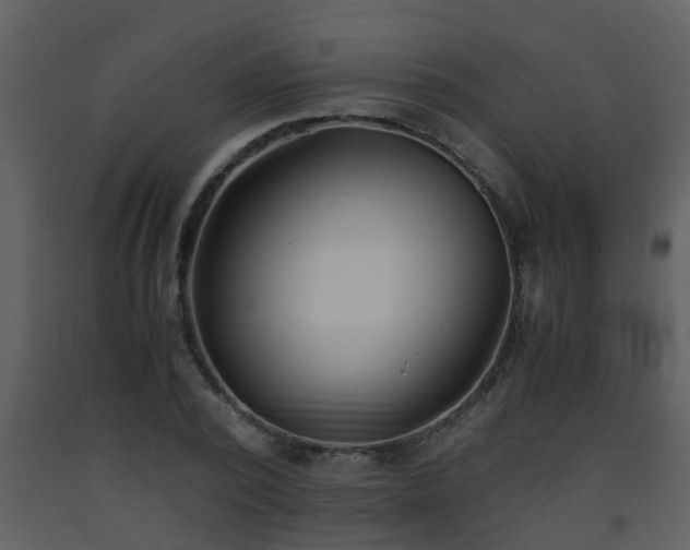X0000093570784200710221442