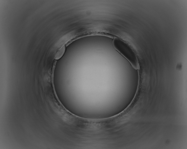 X0000093570785200710221442