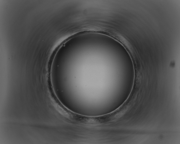 X0000093570787200710221442