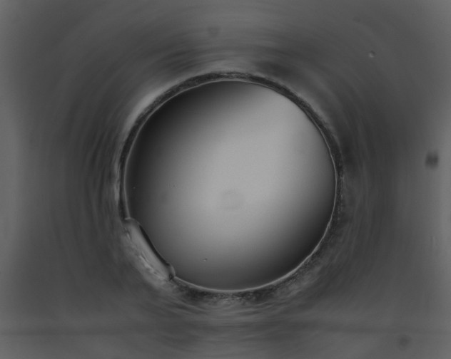 X0000093570791200710221442