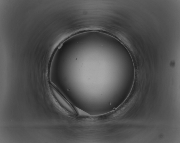 X0000093570797200710221442