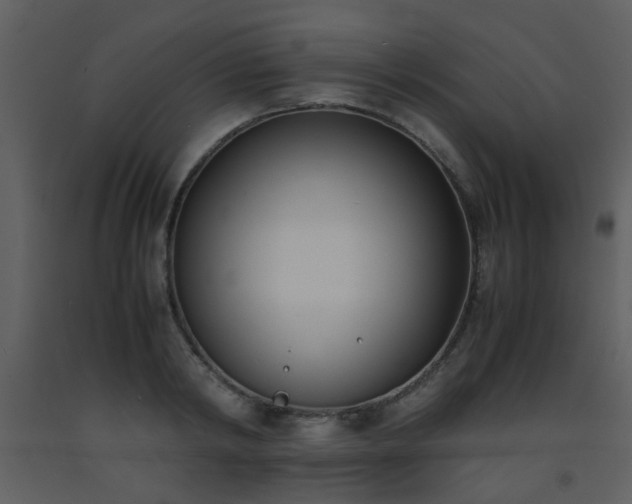 X0000093570798200710221442