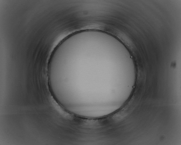 X0000093570800200710221442