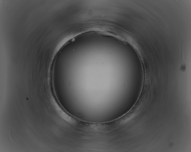X0000093570803200710221442
