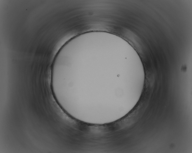 X0000093570804200710221442