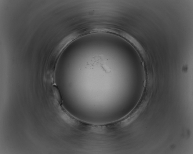 X0000093570809200710221442