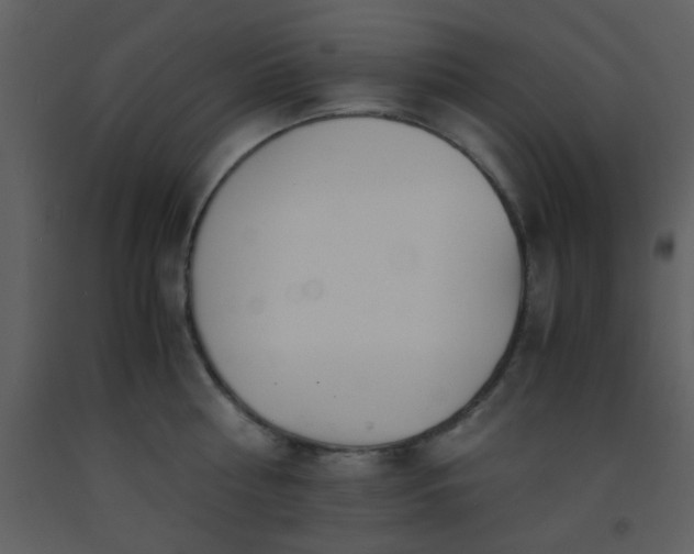 X0000093570810200710221442