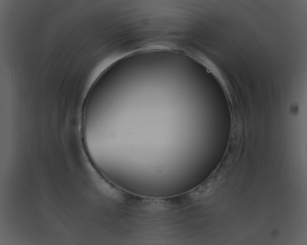 X0000093570811200710221442