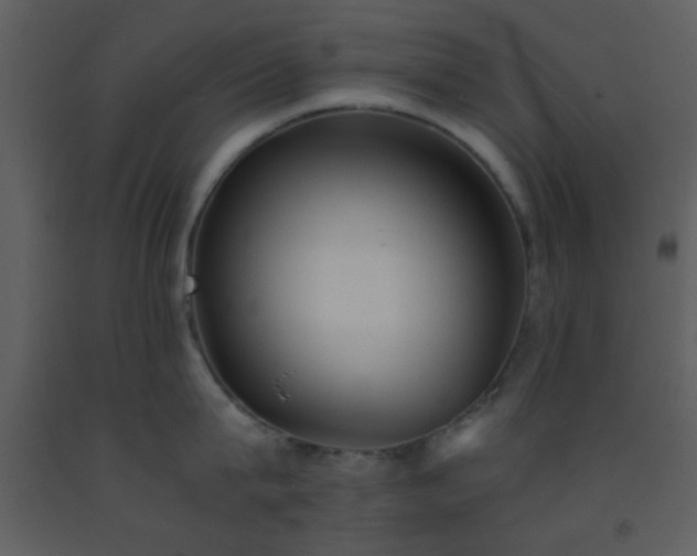 X0000093570815200710221442