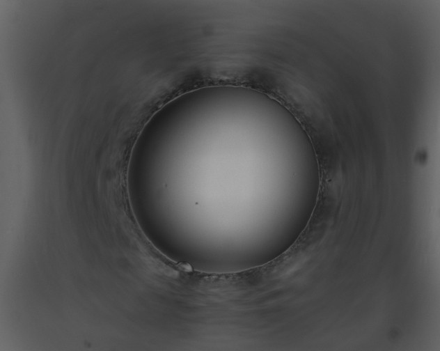 X0000093570817200710221441