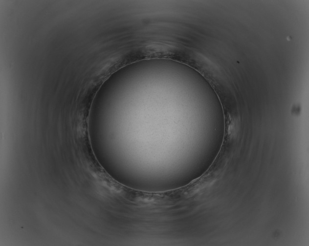 X0000093570819200710221441