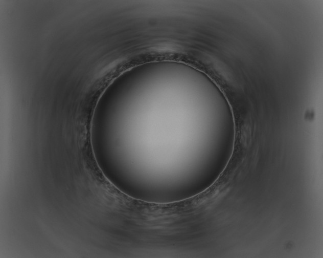 X0000093570821200710221441