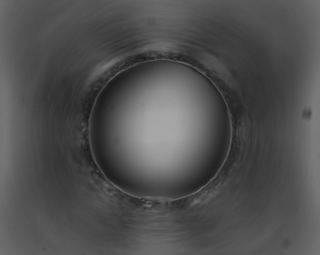 X0000093570822200710221441