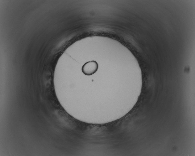X0000093570824200710221441