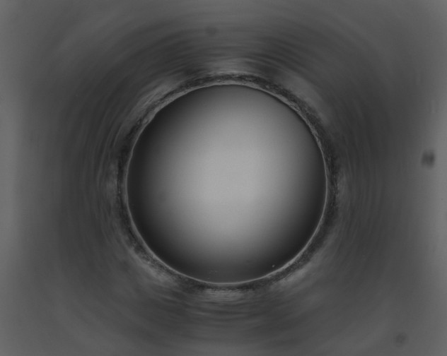 X0000093570825200710221441
