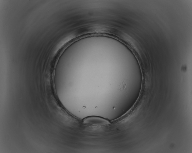 X0000093570827200710221442